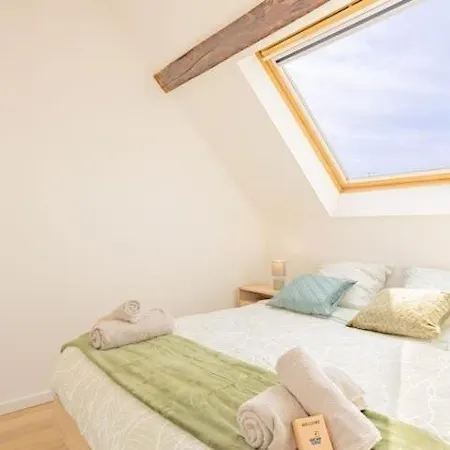 Nidzncientroyes Lejlighed