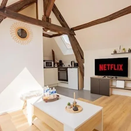 Appartement Nidzncientroyes