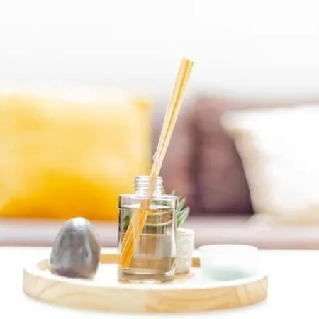 Nidzncientroyes * Troyes